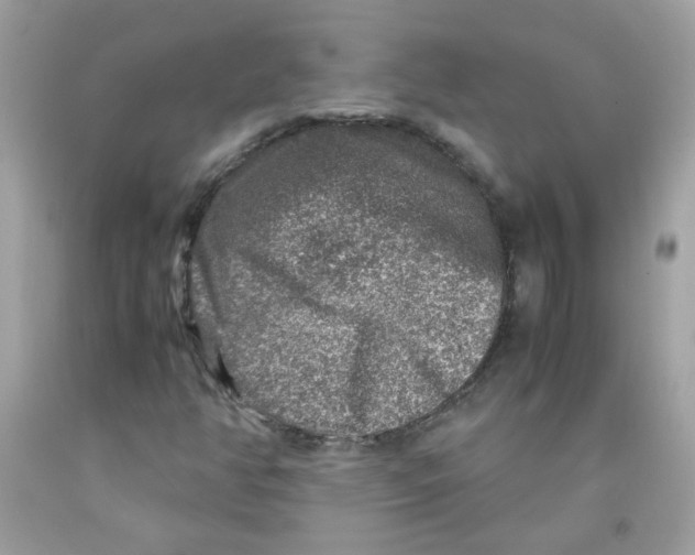 X0000091061350200709041150