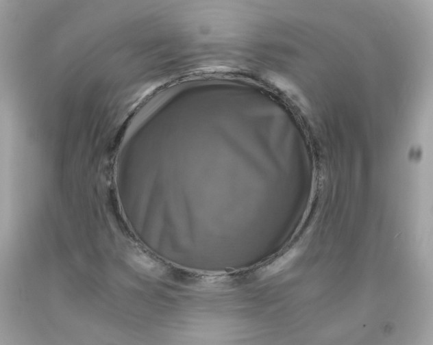 X0000091061353200709041149
