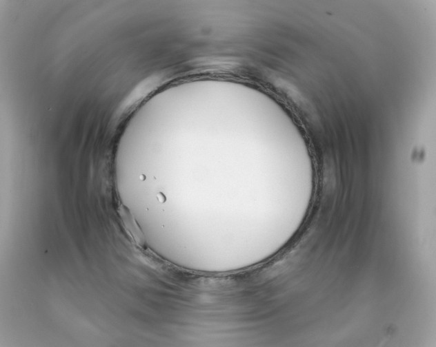 X0000091061354200709041149