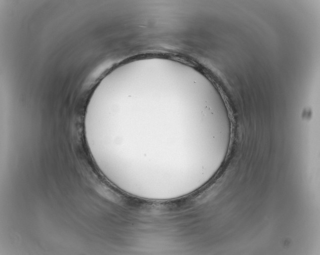 X0000091061355200709041149