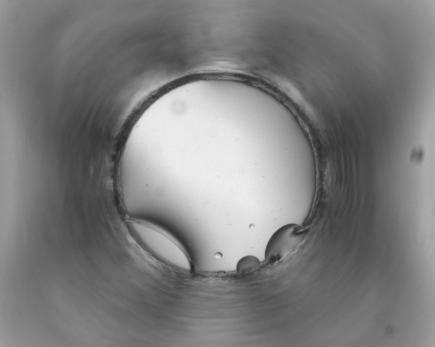 X0000091061356200709041149