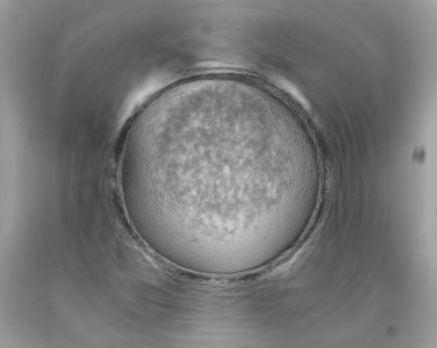 X0000091061357200709041149