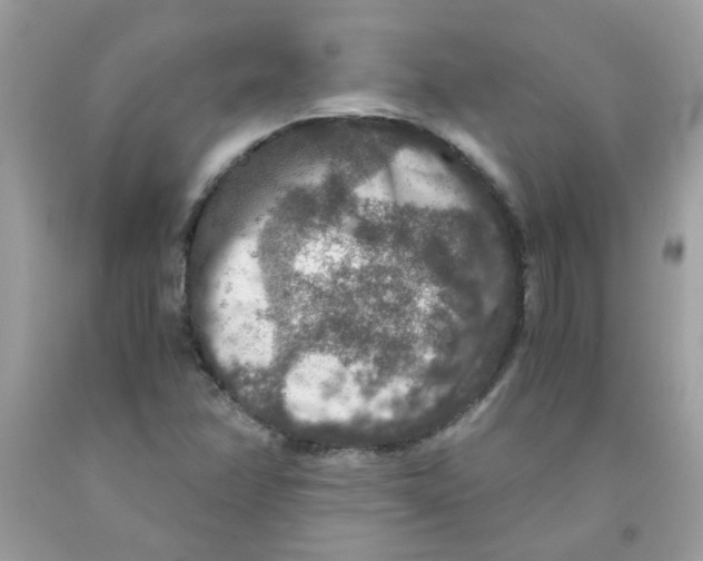 X0000091061358200709041149