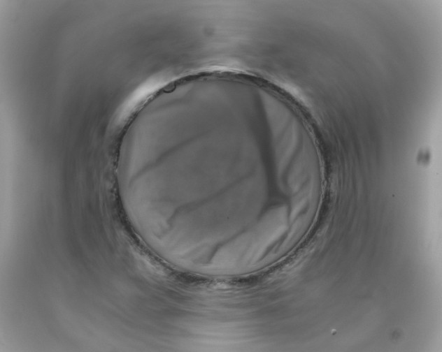 X0000091061359200709041149