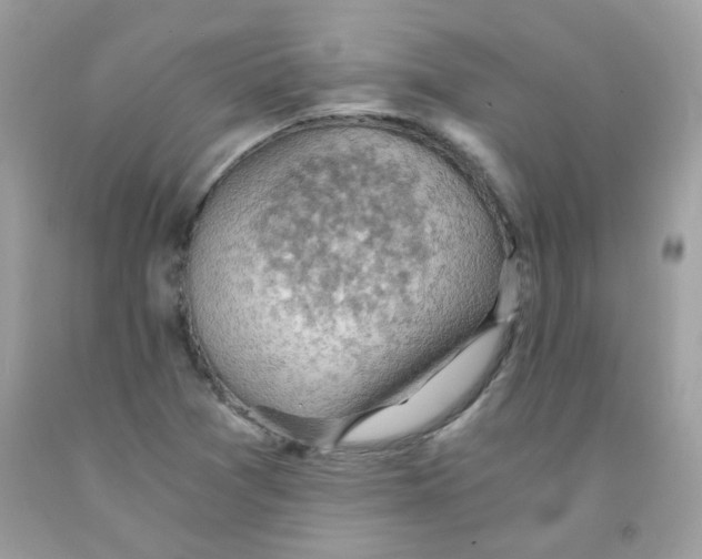 X0000091061361200709041149