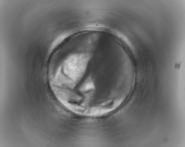 X0000091061362200709041149