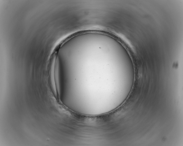 X0000091061364200709041149