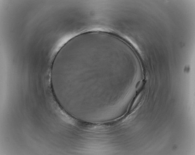 X0000091061367200709041149