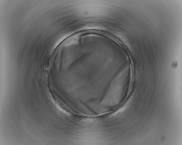 X0000091061369200709041149