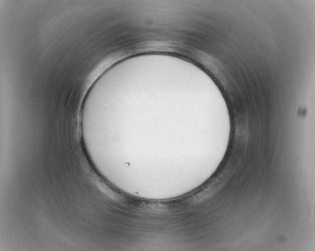 X0000091061370200709041149