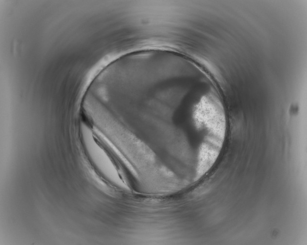 X0000091061371200709041149