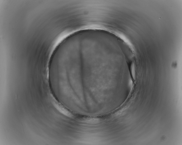 X0000091061372200709041149