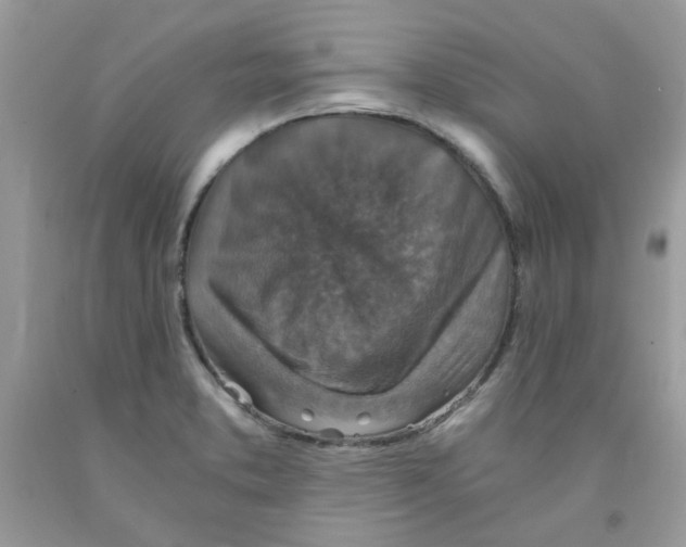 X0000091061373200709041149