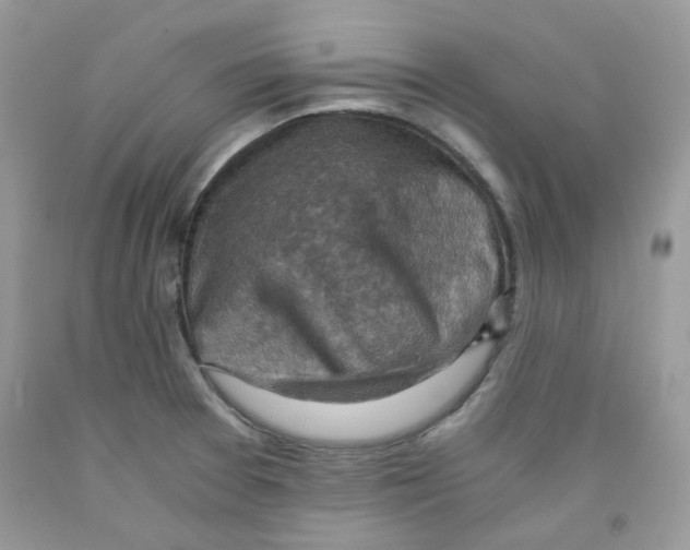 X0000091061377200709041149