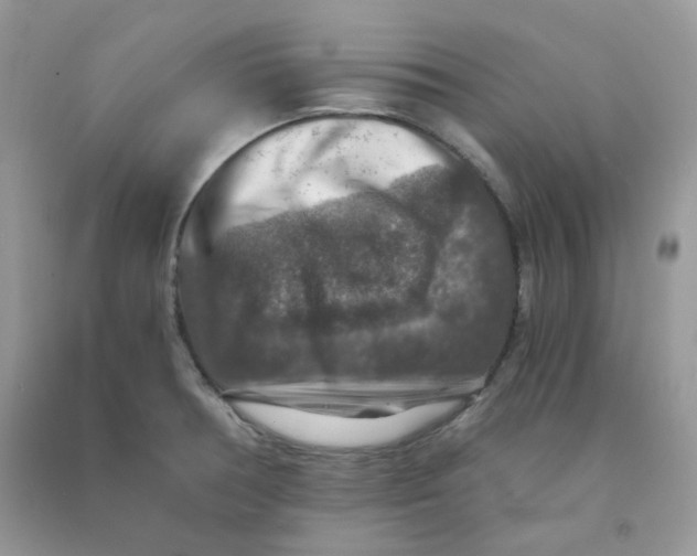 X0000091061378200709041149