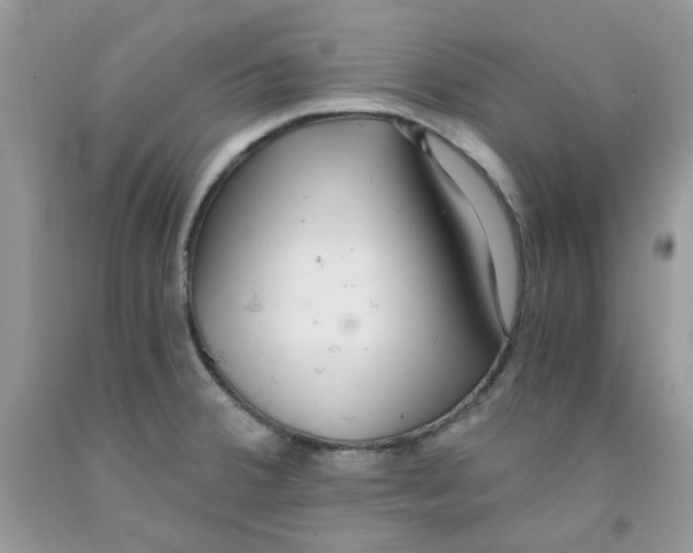 X0000091061380200709041149