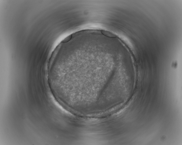 X0000091061382200709041149
