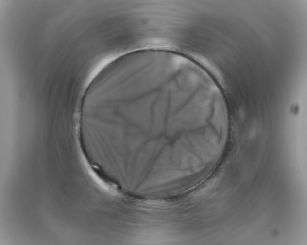 X0000091061383200709041149