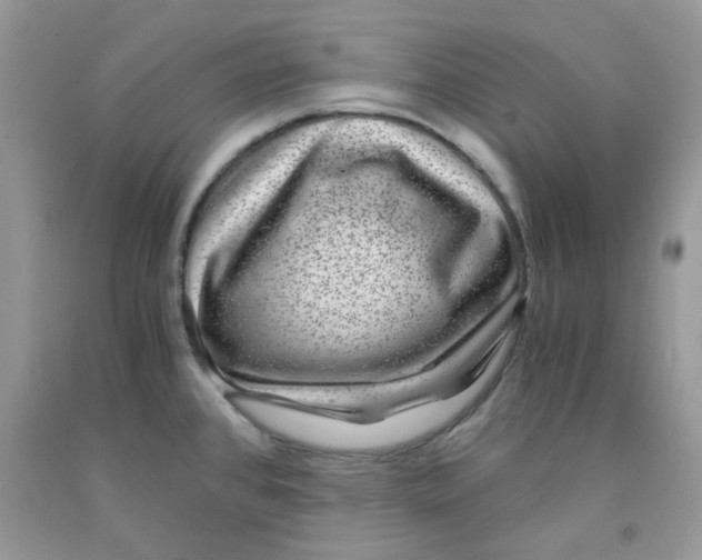 X0000091061384200709041149