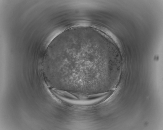 X0000091061385200709041149