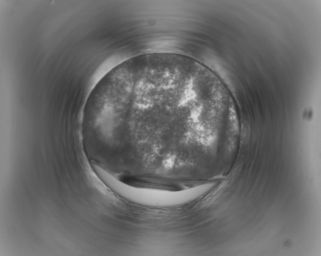 X0000091061386200709041149