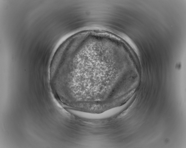 X0000091061388200709041149
