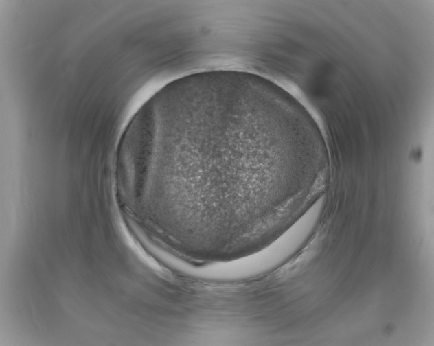 X0000091061389200709041149