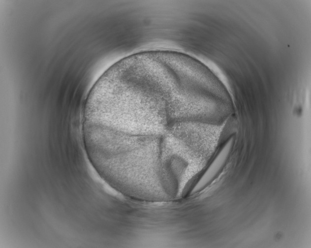 X0000091061390200709041149