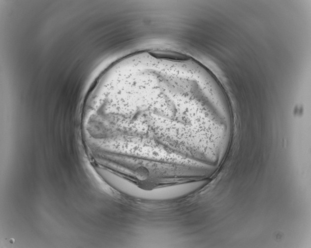 X0000091061392200709041149