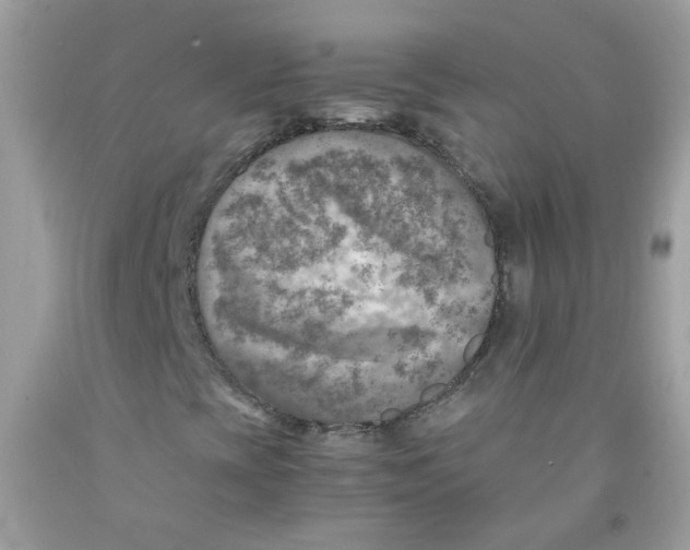 X0000091061393200709041148