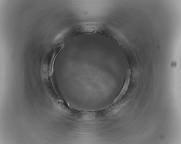 X0000091061394200709041148