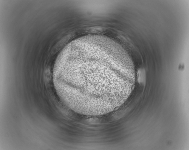 X0000091061395200709041148