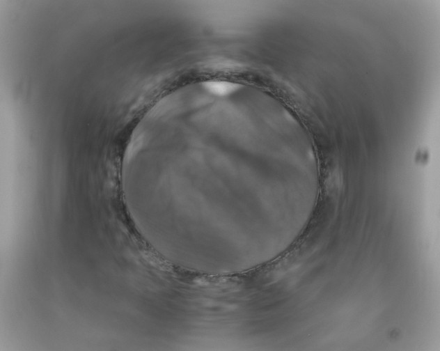 X0000091061397200709041148