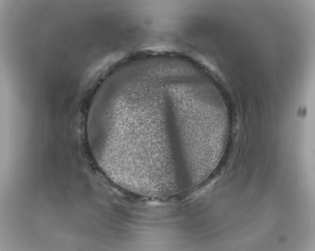X0000091061398200709041148