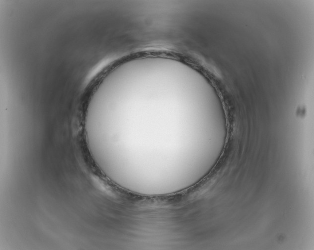 X0000091061400200709041149