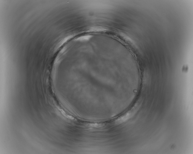 X0000091061401200709041149