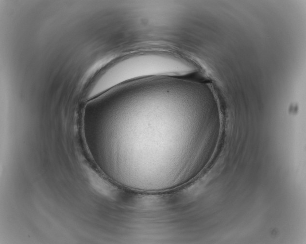 X0000091061402200709041149