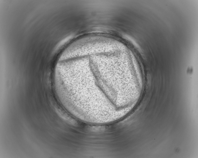 X0000091061403200709041149