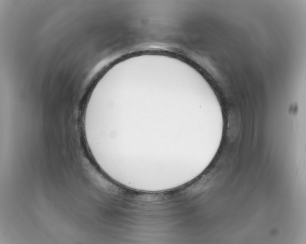 X0000091061404200709041149