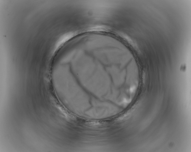 X0000091061405200709041149