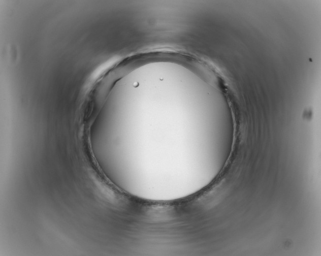 X0000091061406200709041149