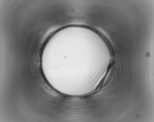 X0000091061408200709041149
