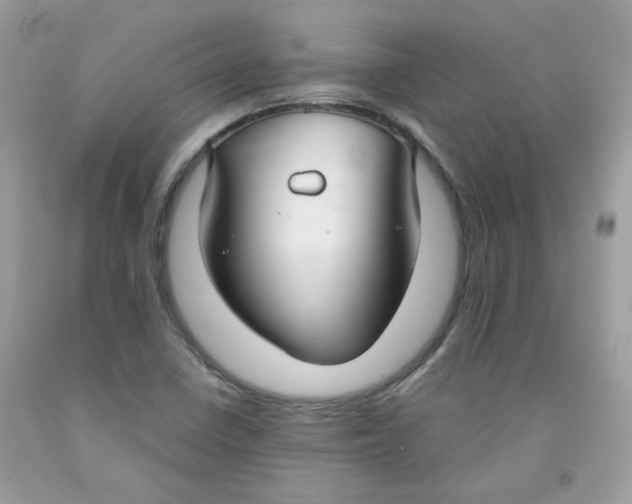 X0000091061410200709041149
