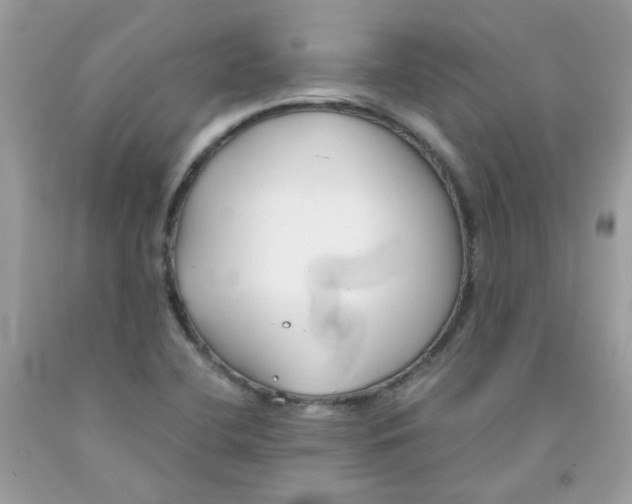 X0000091061412200709041149