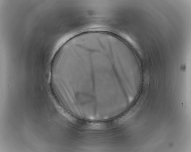 X0000091061413200709041149