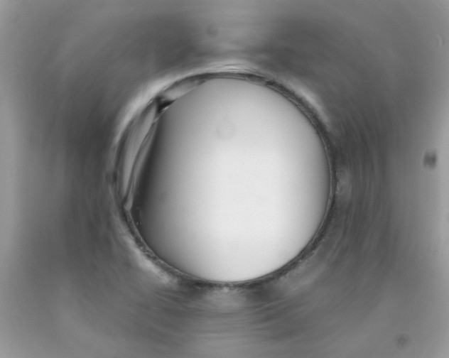X0000091061414200709041149