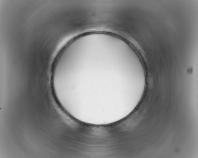X0000091061416200709041149