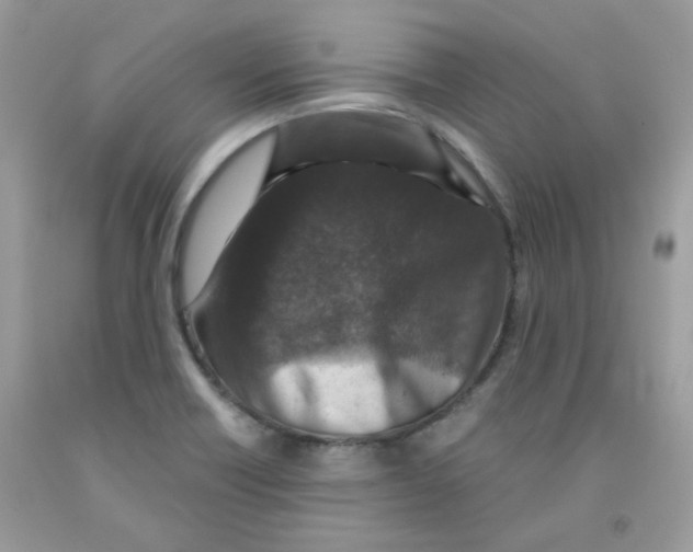 X0000091061418200709041149