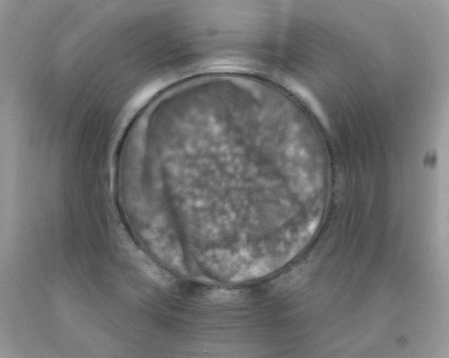 X0000091061419200709041149