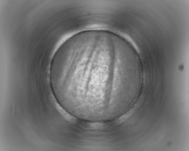 X0000091061421200709041149